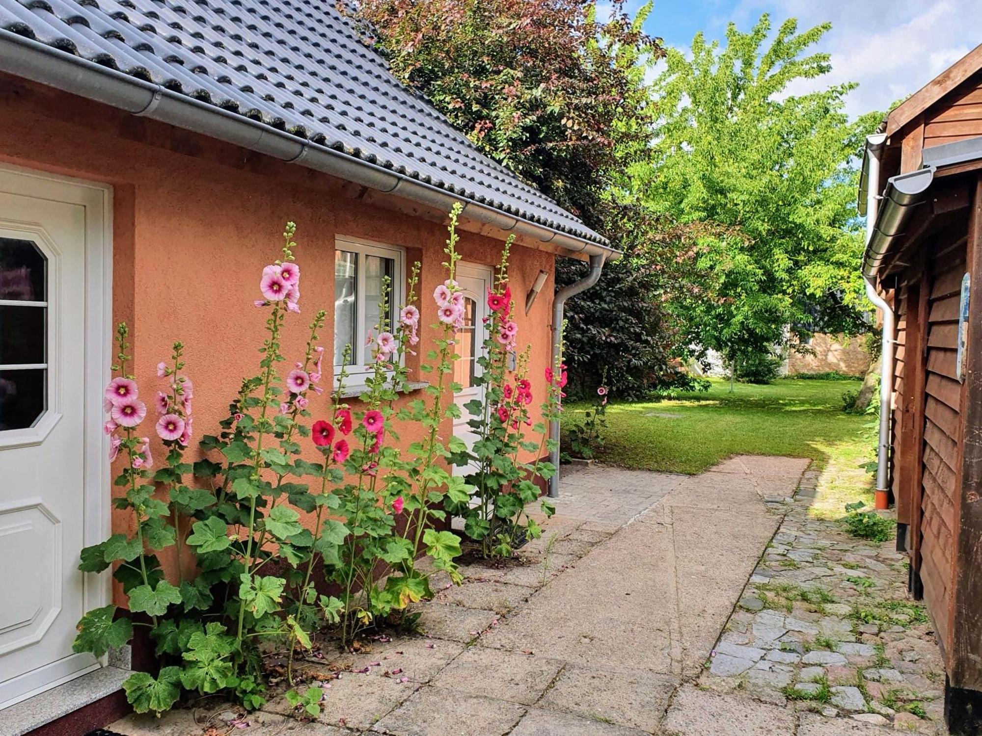 Ferienhaus Moewe Hanshagen  Εξωτερικό φωτογραφία